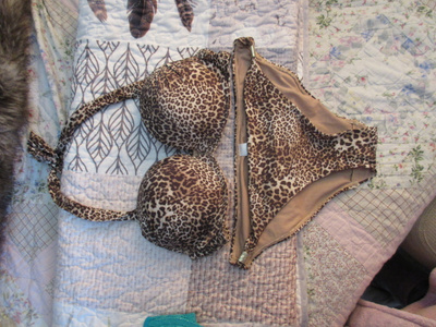 Bikinit 70B/34.