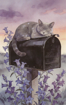 Harmaa kissa nukkuu postilaatikon päällä