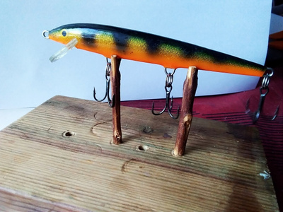 Rapala   Floating  10cm