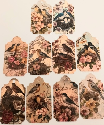Tagit / Korttikuvat LINNUT / 10 kpl -setti / 4,5 x 7 cm