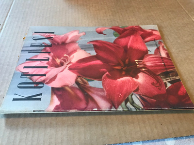 KOTILIESI 6/1957 HYVÄ