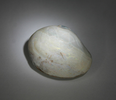 Opalisoitunut simpukankuori kokonainen 35.8 mm / 92.96 ct