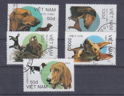 Koiria aihe Vietnam.