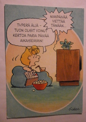 Schultz: Tenavat - Salli & nimipäivä, piirrospk, ei p.