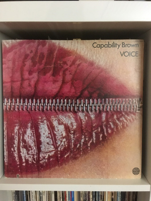 (LP) Capability Brown – Voice