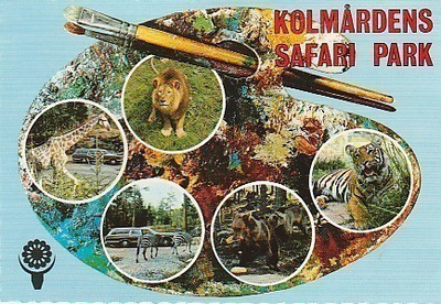 Postikortti, Eläinaihe, eläimet , Kolmården