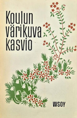 Heikki Vääninen: Koulun värikuvakasvio