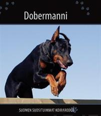 Dobermanni - Suomen suosituimmat koirarodut