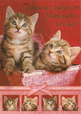 Kaksi kissaa pärekorissa.