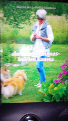 AXI :  ELÄMÄÄ SHETLANNINLAMMASKOIRIEN KANSSA