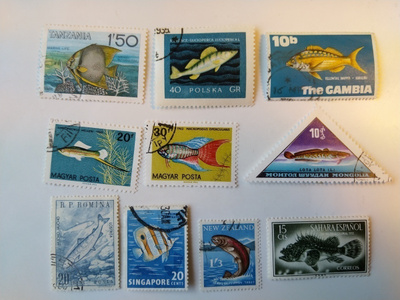 Postimerkki aihekokoelma kaloja 10 erilaista