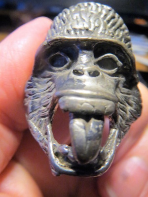 Gorillasormus