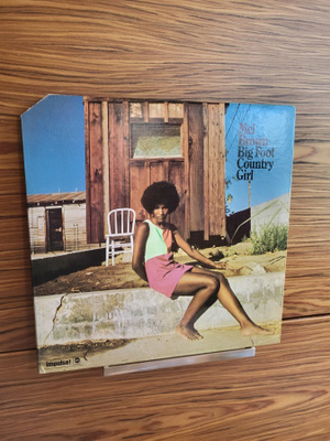 Mel Brown - Big Foot Country Girl