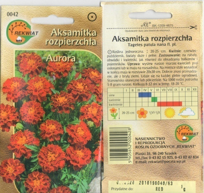 Ryhmäsamettikukka "Aurora" siemenet #