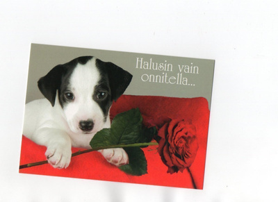°"HALUSIN VAIN ONNITELLA...°" -KORTTI / Papron