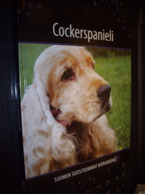 Cockerspanieli  (Suomen suosituimmat koirarodut) SIS.PK!