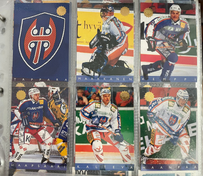 Sisu 95-96:  TAPPARA 6 erilaista