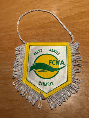 FC Nantes -viiri