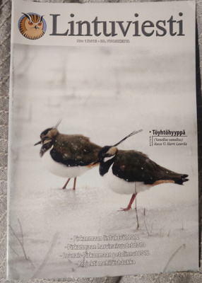 LINTUVIESTI 1/2013 Pily yhdistyslehti