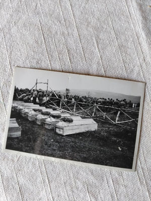 sotavalokuva hautaus petsamossa 1941