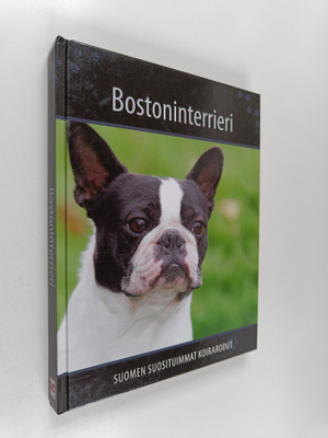 Bostoninterrieri