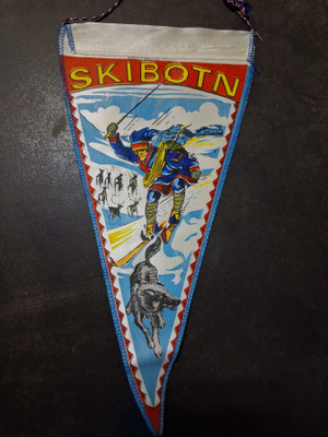 Viiri Skipotn