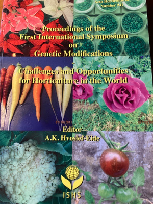 HVOSLEF-EIDE: PROCEEDINGS OF THE FIRST INTERNATIONAL SYMPOSI