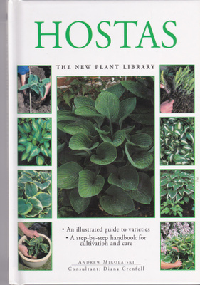 Hostas