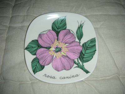 Arabia Botanica Koiranruusu Tomula