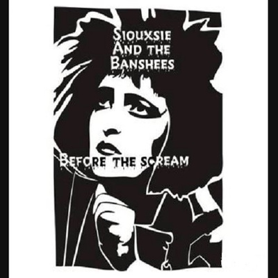 SIOUXSIE & THE BANSHEES before the scream 1977/78