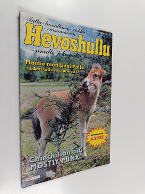 Hevoshullu 4/1985