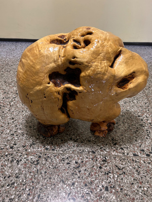Koivun Pahka