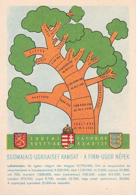 SUKUPUU SUOMALAIS-UGRILAISET KANSAT