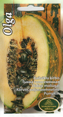 Jättikurpitsa "Olga" - siemenet #