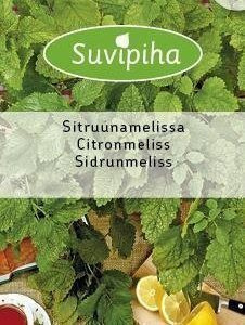 Sitruunamelissa siemenet #