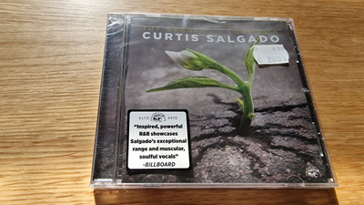 Curtis Salgado - The beautiful lowdown *uusi*