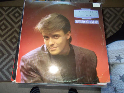 12" VINYYLI MAXI SINKKU DAVID LYME ** NEVER SAY YOU LOVE ME