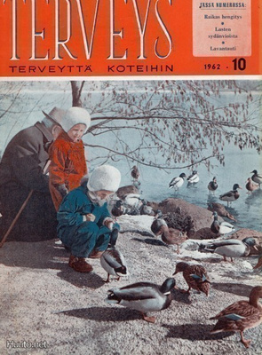 Terveys n:o 10 1962 Mistähän sinappia saadaan?