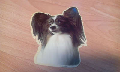 Rotutarra Papillon