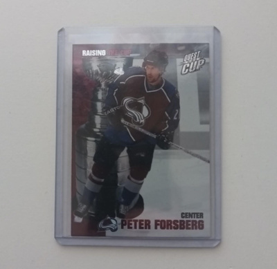 02-03 Quest for the Cup Raising the Cup Peter Forsberg