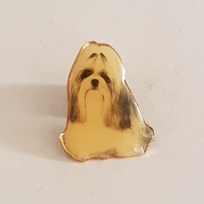 KOIRA PINSSI