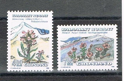 Grönlanti 1992 - Kukkia (2)  ++