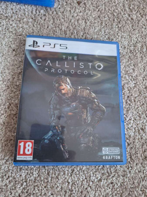The Callisto Protocol PS5