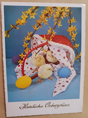 Kaatuneesta korista tulee tipuja ja munia, p. 1994 Suomeen