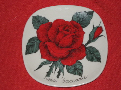 Arabia ESTERI TOMULA - Rosa Baccara seinälautanen
