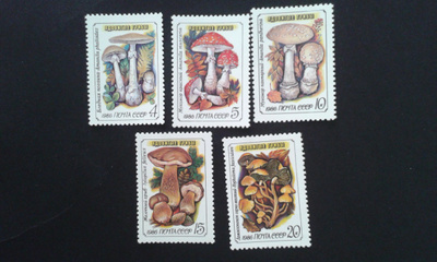 1986 sieniä**