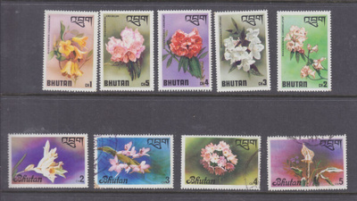 Bhutan kukkia