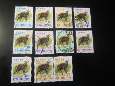 Etiopia 2002: antilooppi