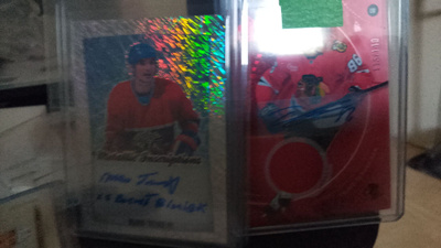 Auto patch teräväinen Leaf auto tremblay1/1!