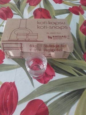 Riihimäen lasi: Koti-kopsu pikkulasit  5cl/6 kpl